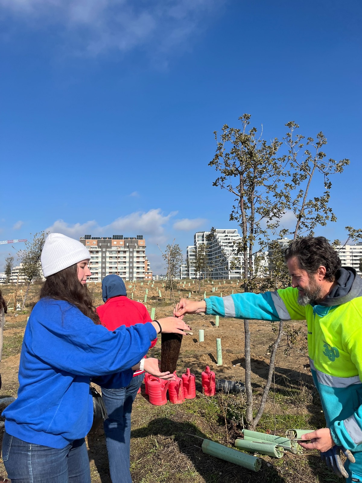 Imagen de voluntarios trabajando 