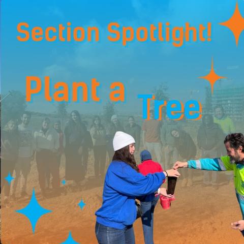 Portada de blog sobre la actividad "Plant a Tree" 